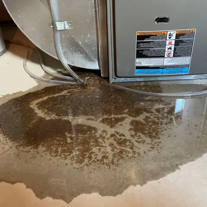 Pipe Burst and Leak Restoration in Keene, NH